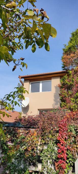 Flora House 3 Minutes From Lake Balaton Keszthely Esterno foto
